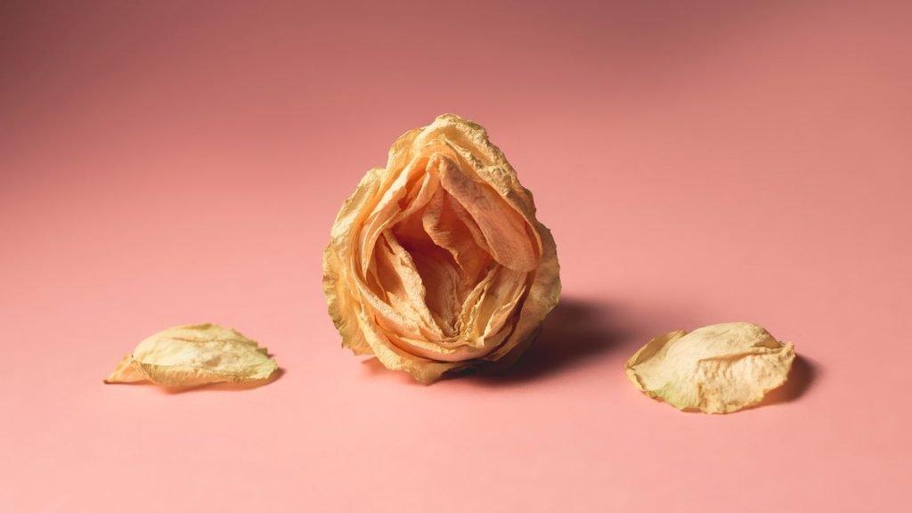 Vaginal Dryness Treatment : A Simple Solution for Comfort