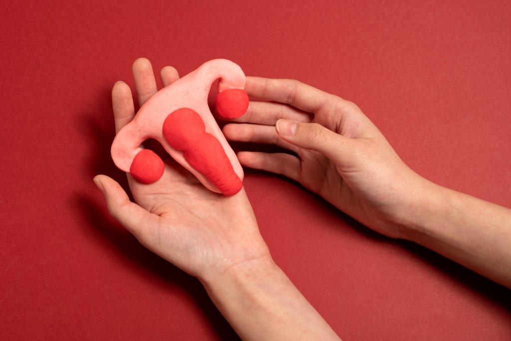 Top Clinic for Labiaplasty in Kharghar, Navi Mumbai: What to Look For